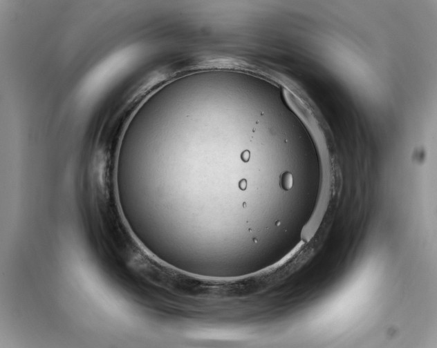 X0000102391438200808011550