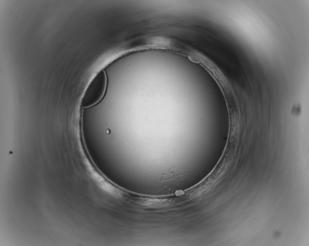 X0000102391439200808011550