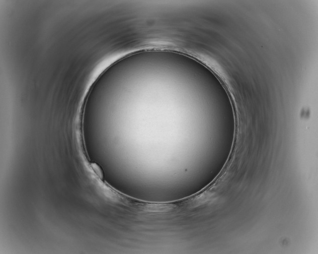 X0000102391440200808011550