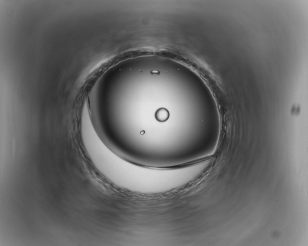 X0000102391448200808011549