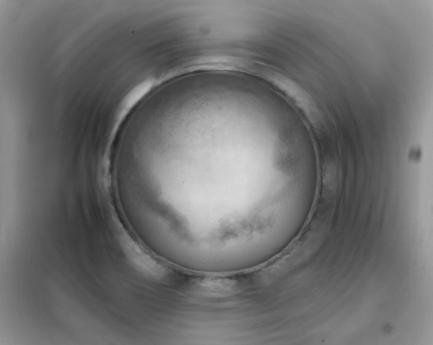 X0000102391466200808011549