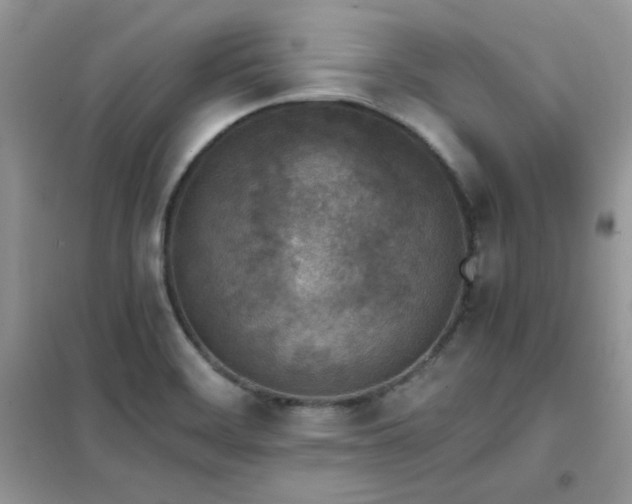 X0000102391468200808011548