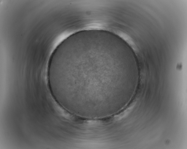 X0000102391469200808011548