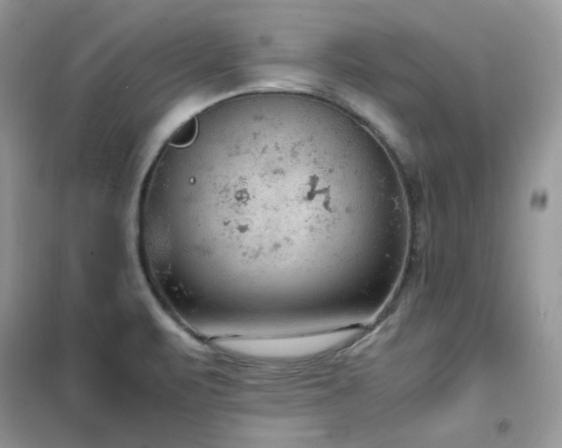 X0000102391471200808011548