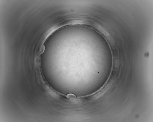 X0000102391473200808011548