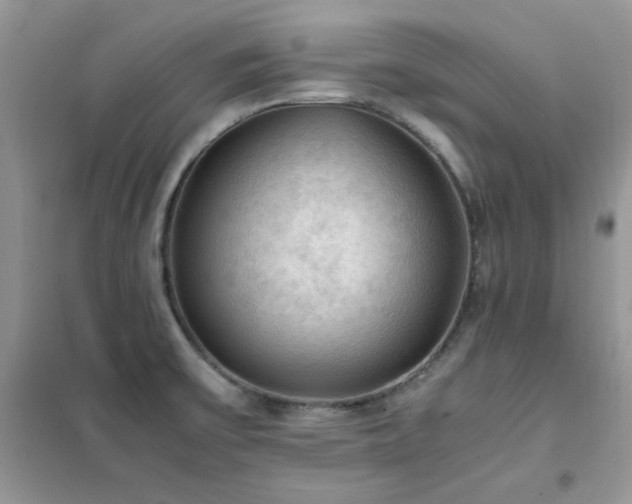 X0000102391475200808011548