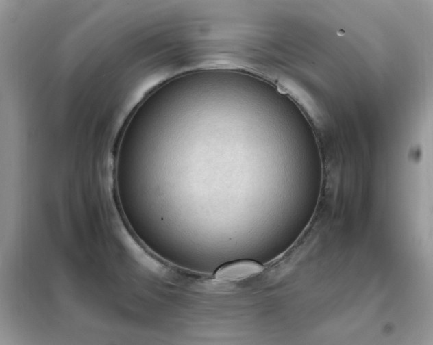 X0000102391476200808011548