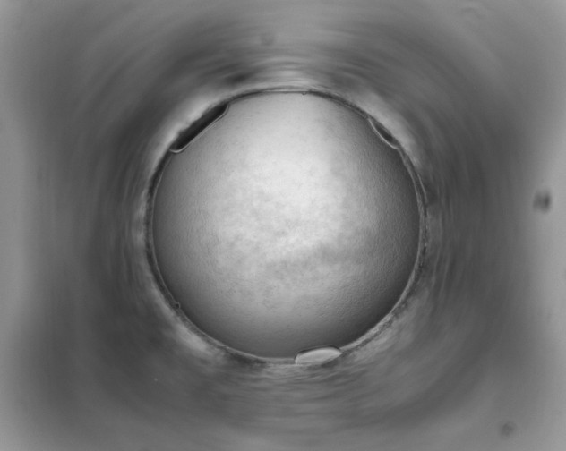 X0000102391477200808011548