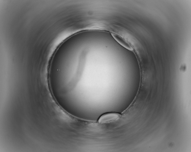 X0000102391480200808011548