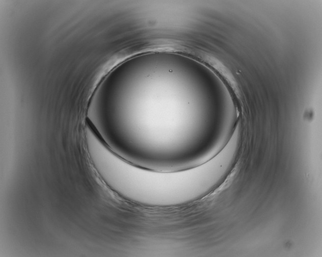 X0000102391481200808011548