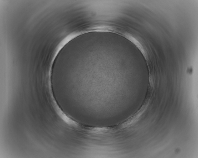 X0000102391482200808011548