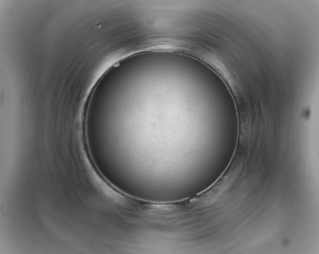 X0000102391483200808011548