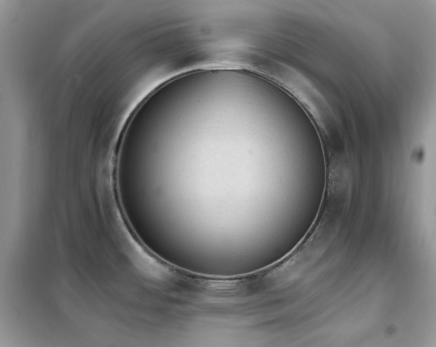 X0000102391484200808011548