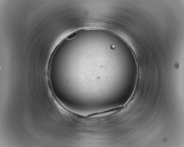 X0000102391485200808011548