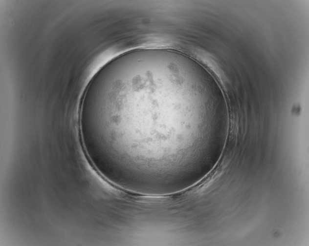X0000102391487200808011548