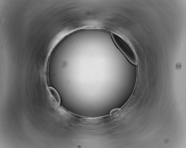 X0000102391488200808011548