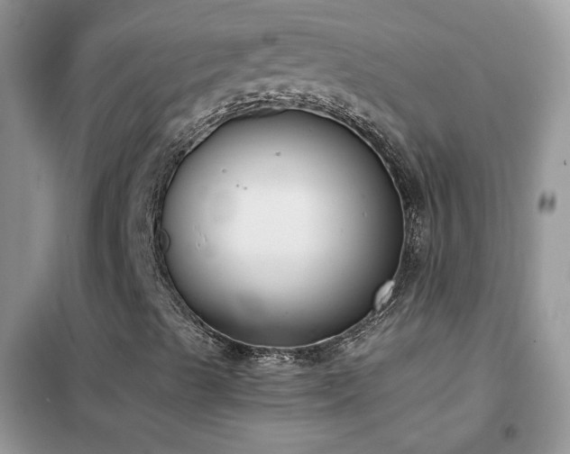 X0000102391489200808011547