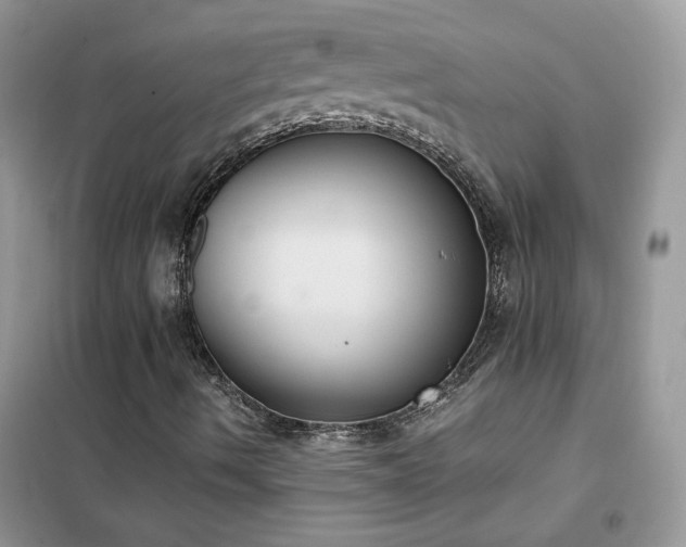 X0000102391490200808011547