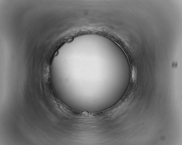 X0000102391492200808011547