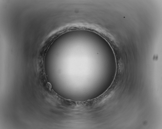 X0000102391494200808011547