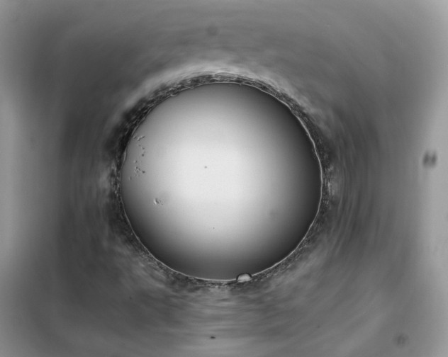 X0000102391495200808011547