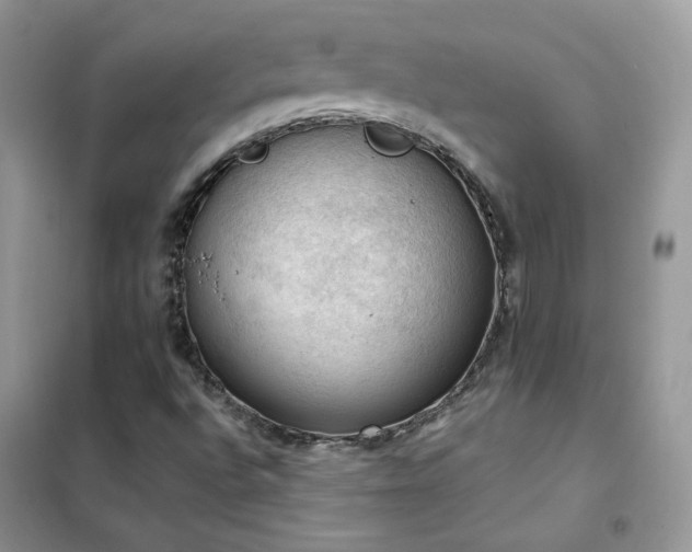 X0000102391496200808011547