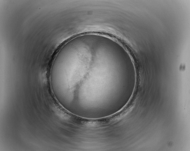 X0000102391497200808011547