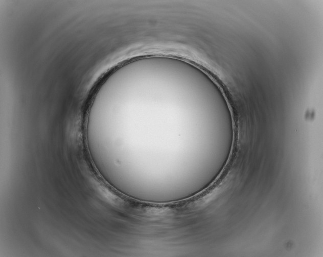 X0000102391498200808011547