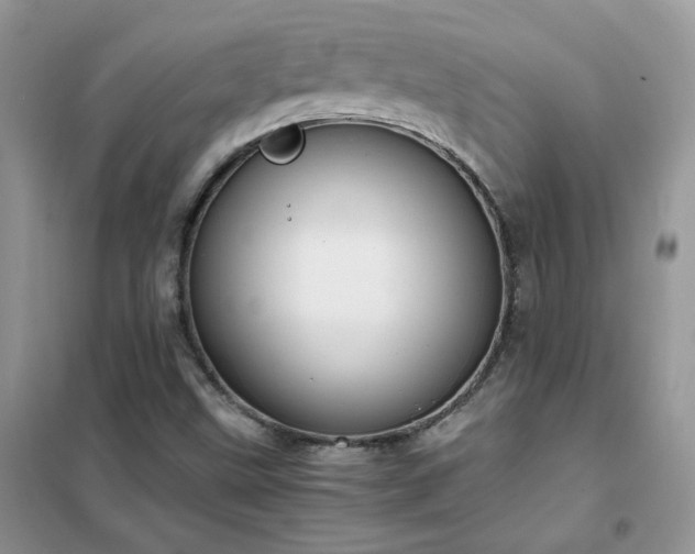 X0000102391499200808011547