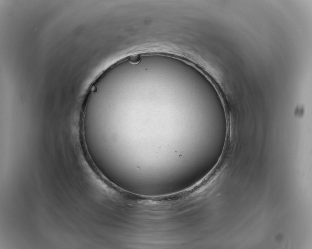 X0000102391500200808011548