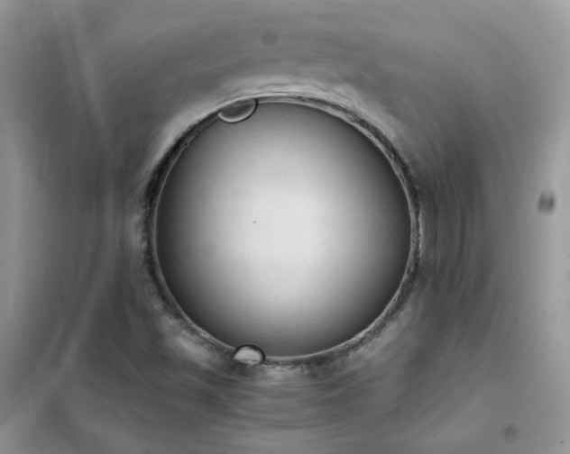 X0000102391501200808011548