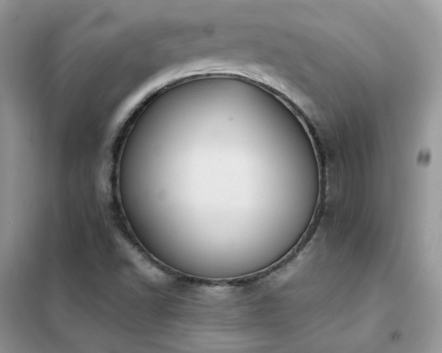 X0000102391502200808011548