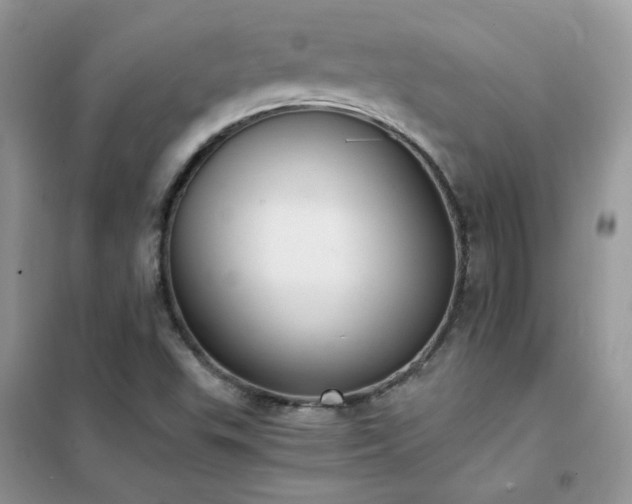 X0000102391503200808011548