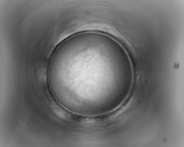 X0000102391505200808011548