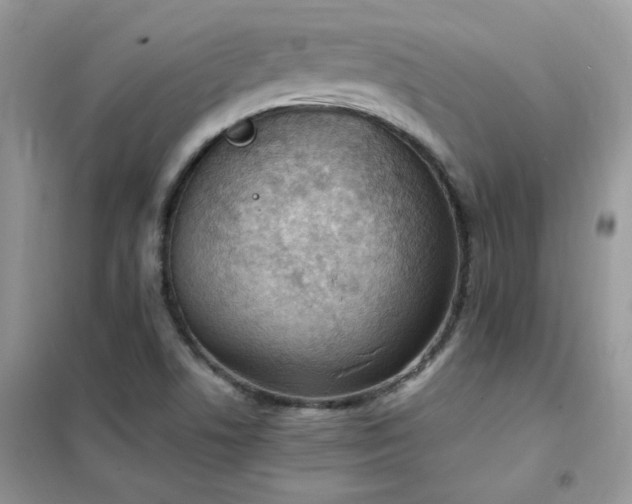 X0000102391506200808011548