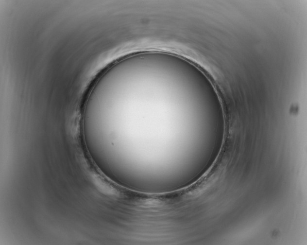 X0000102391507200808011548