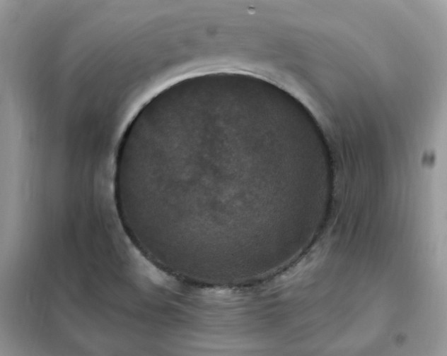 X0000102391508200808011548