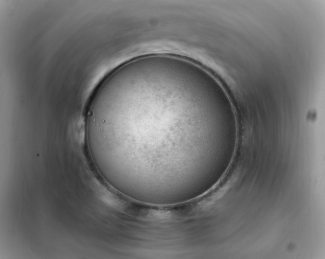 X0000102391509200808011548