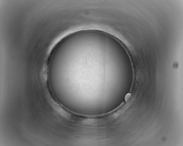 X0000102391510200808011548