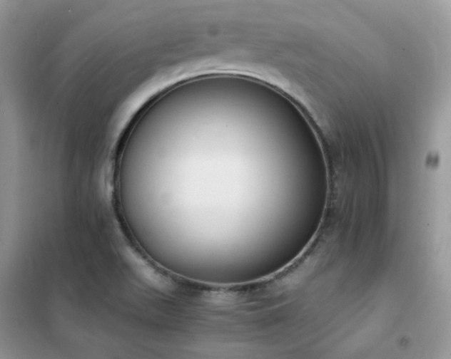 X0000102391511200808011548