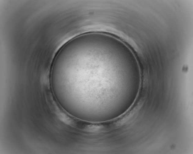 X0000102391513200808011548