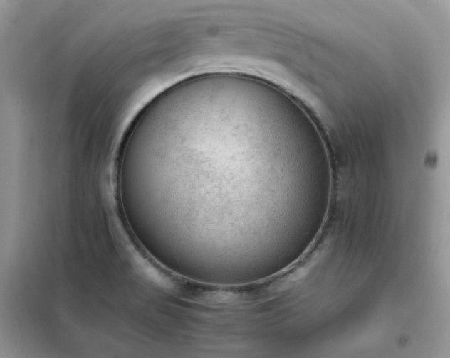 X0000102391517200808011548