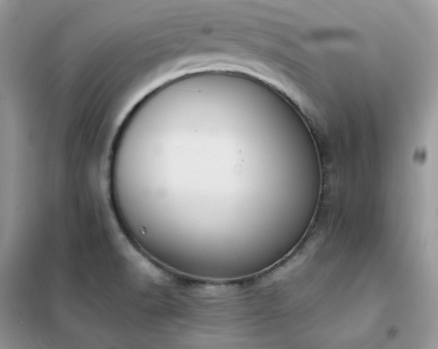 X0000102391518200808011548