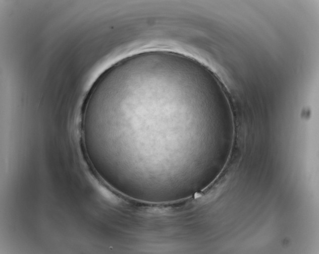 X0000102391519200808011548