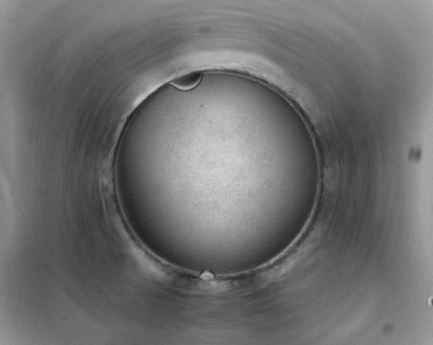 X0000102391521200808011548