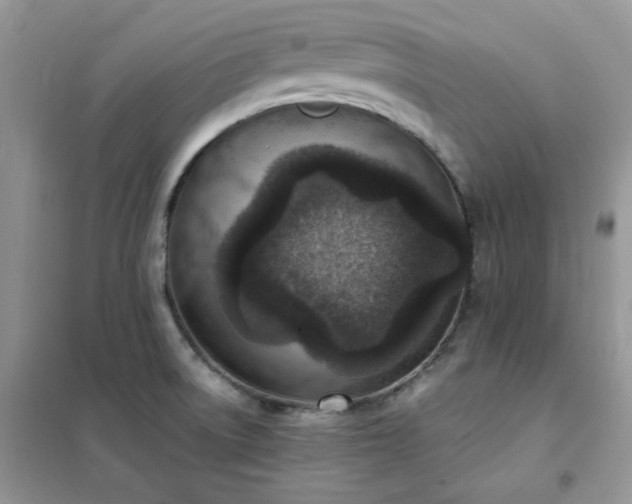 X0000102391522200808011548