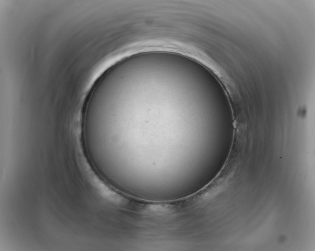 X0000102391523200808011548