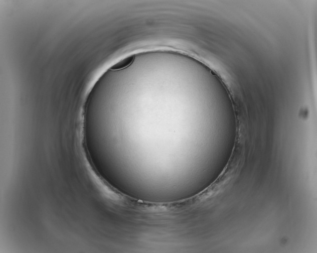 X0000102391524200808011548