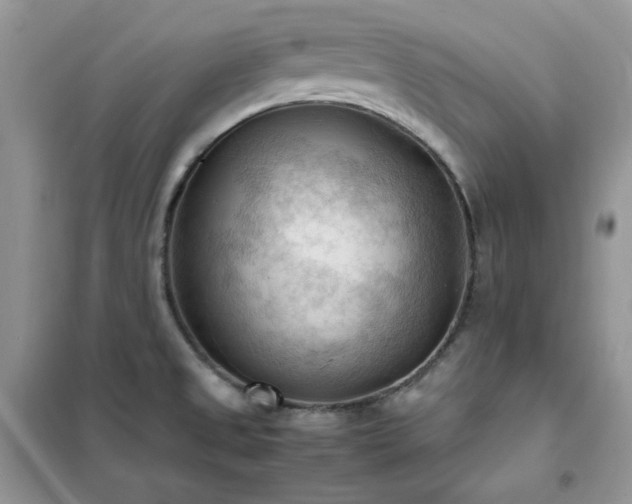 X0000102391525200808011548