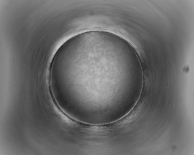 X0000102391527200808011548